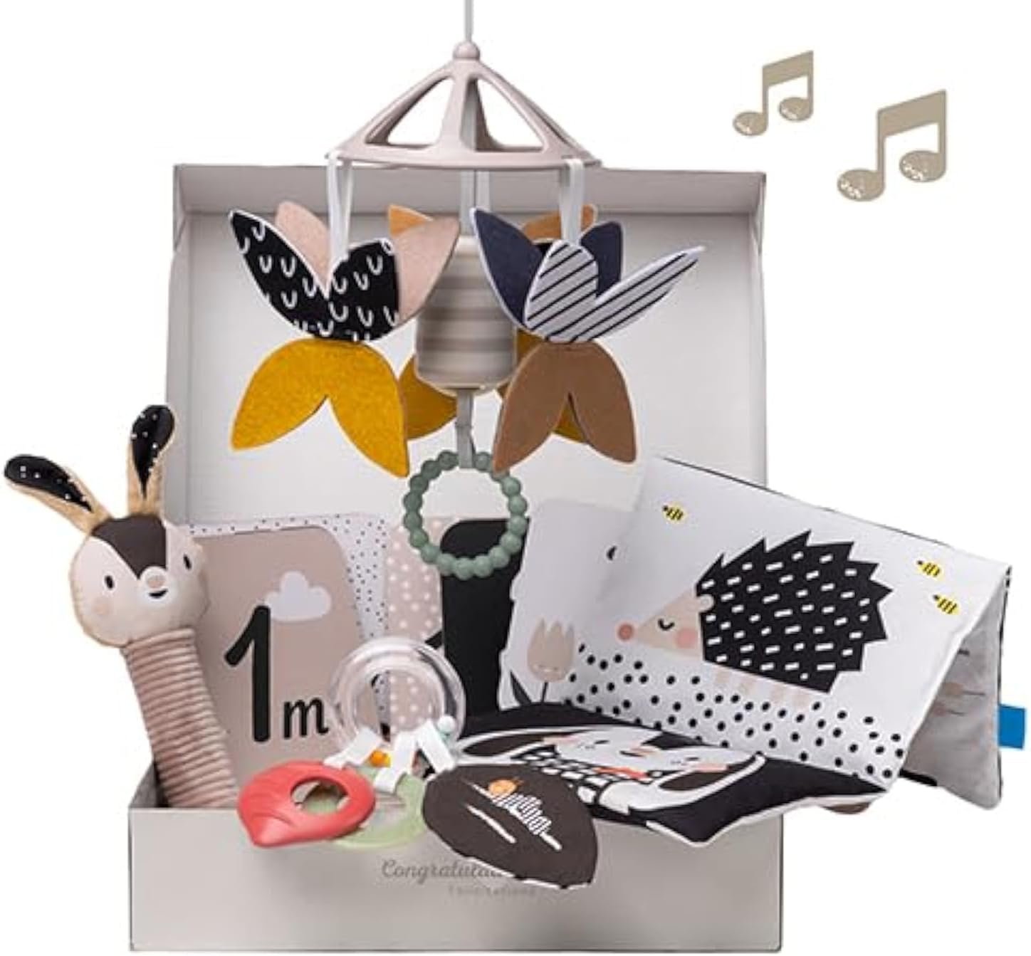 Taf Toys Black and White Newborn Kit – 10 Black and White Baby Toys, High Contrast for Newborn, Baby Essentials Must Haves, Tummy Time Toys for Motor Skills Infants Babies 0 3 6 Months